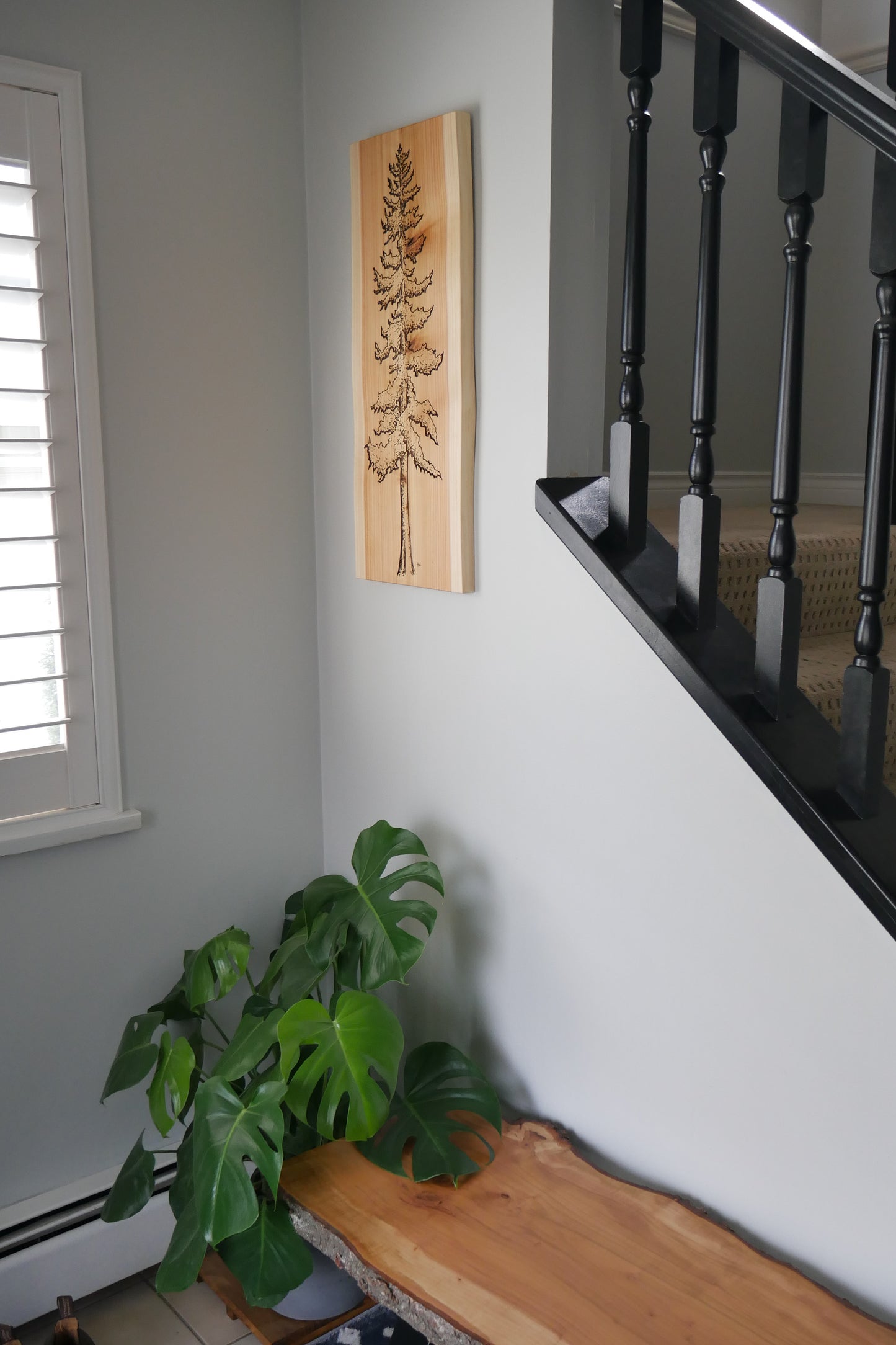 Cedar Tree Wall Art
