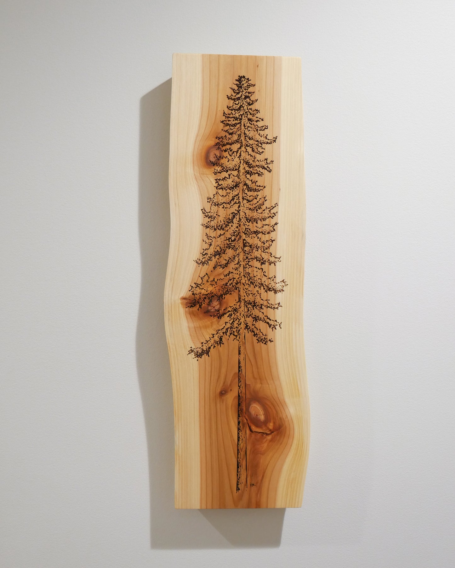 Cedar Wall Art