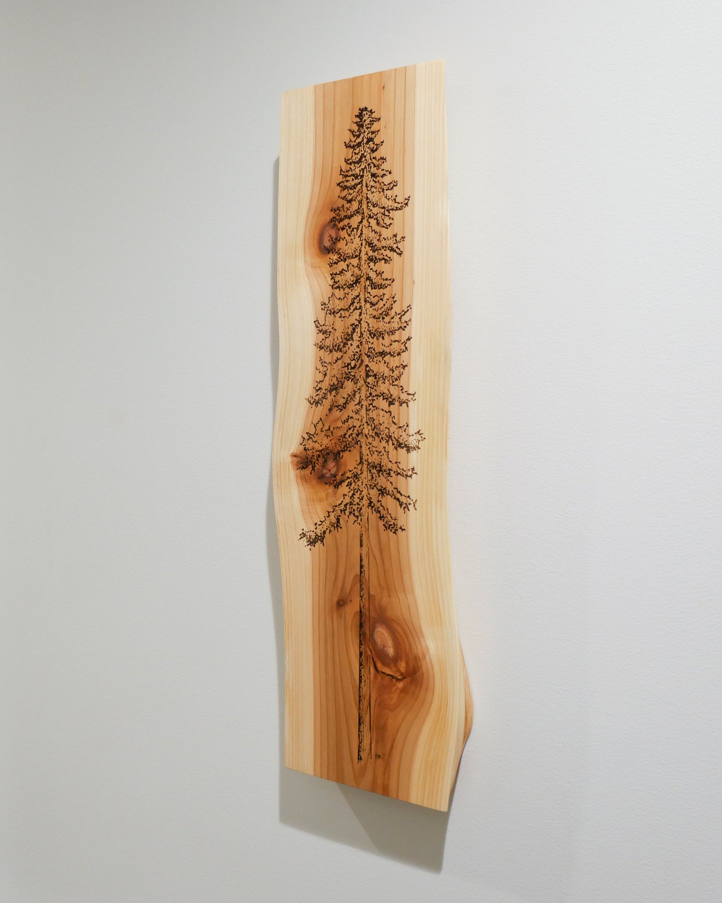 Cedar Wall Art