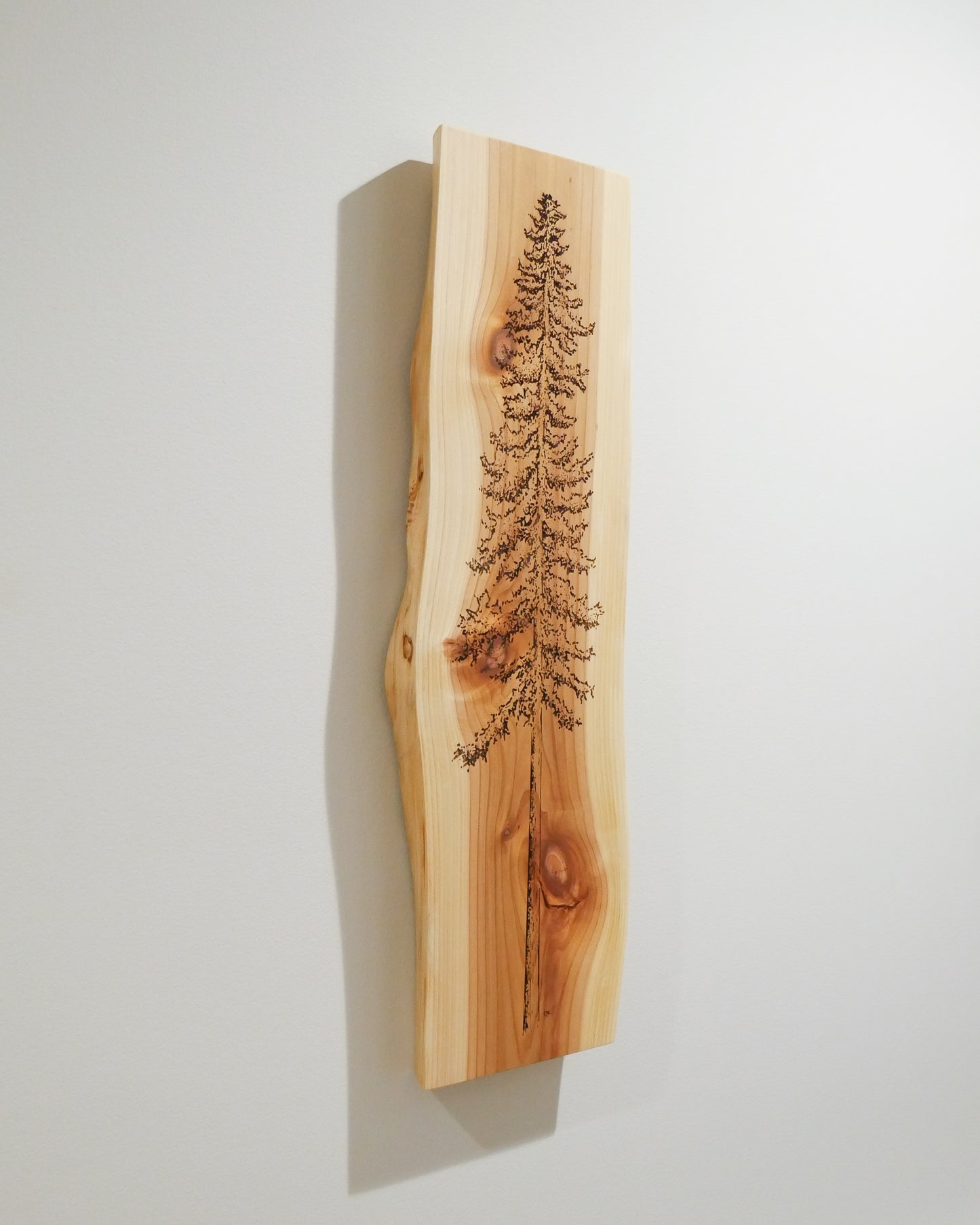 Cedar Wall Art