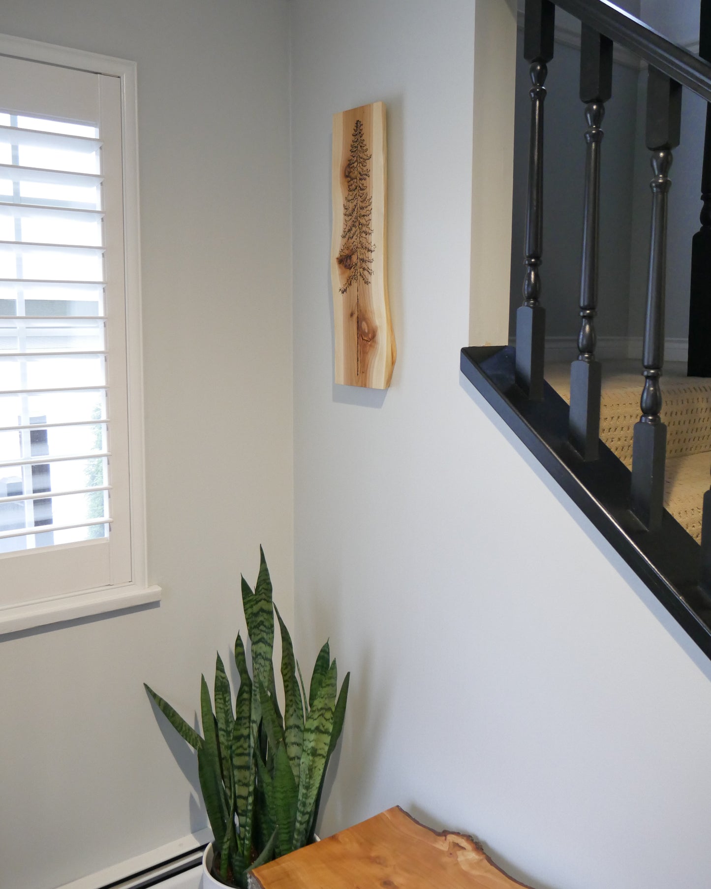 Cedar Wall Art