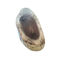 Oval Black Walnut Charcuterie Board