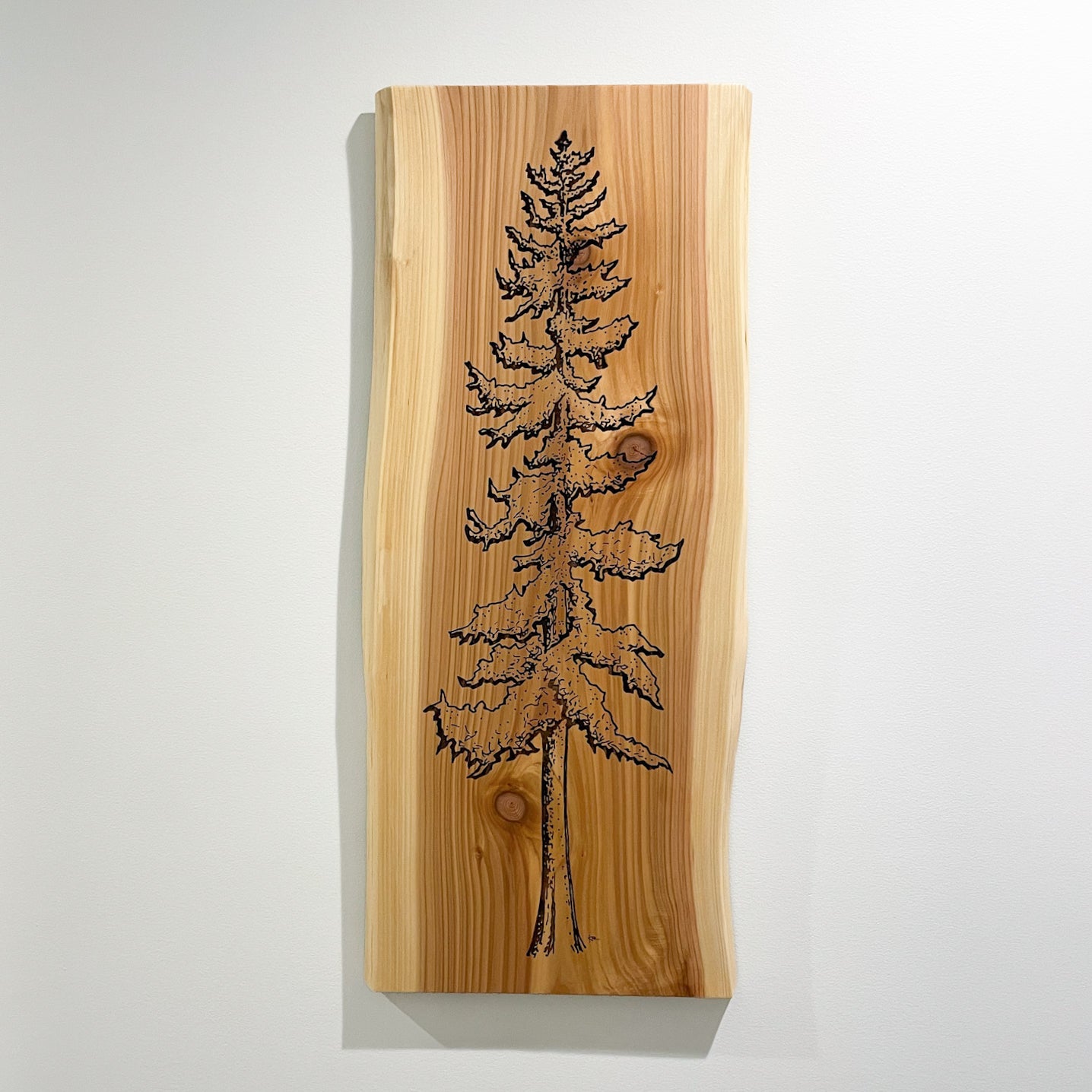 Live Edge Cedar Wall Art | Tundra Designs – Tundra Designs Canada