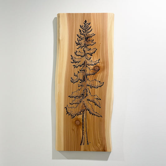 Cedar Tree Wall Art