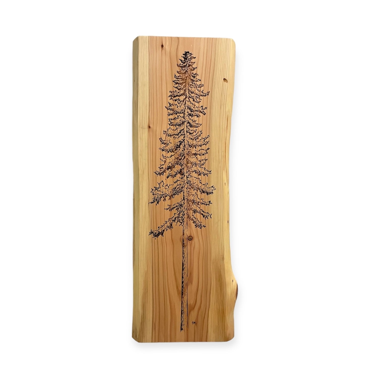 Giant Sequoia Tree Cedar Wall Art