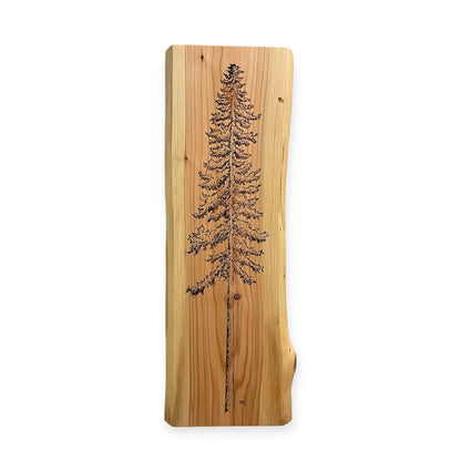 Giant Sequoia Tree Cedar Wall Art