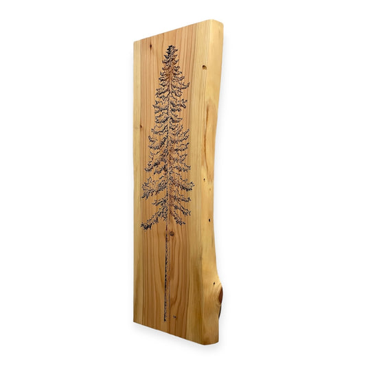 Giant Sequoia Tree Cedar Wall Art
