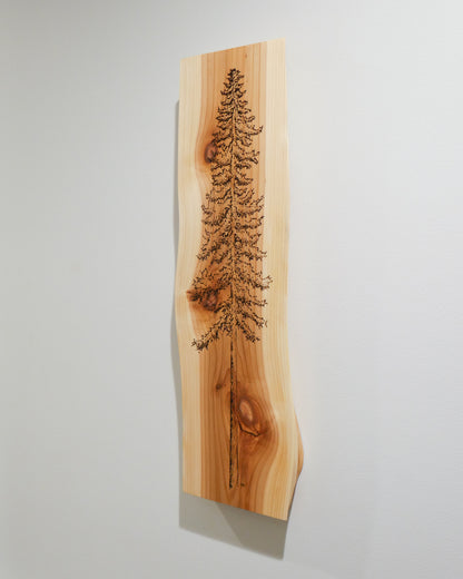 Cedar Wall Art