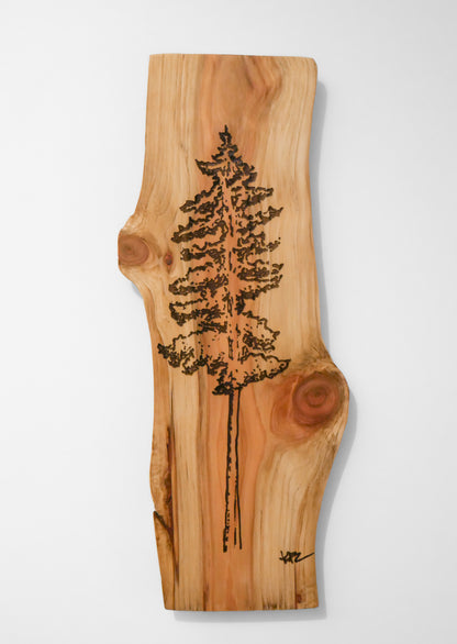 Ponderosa Pine, Cedar Engraving (Local Artist)