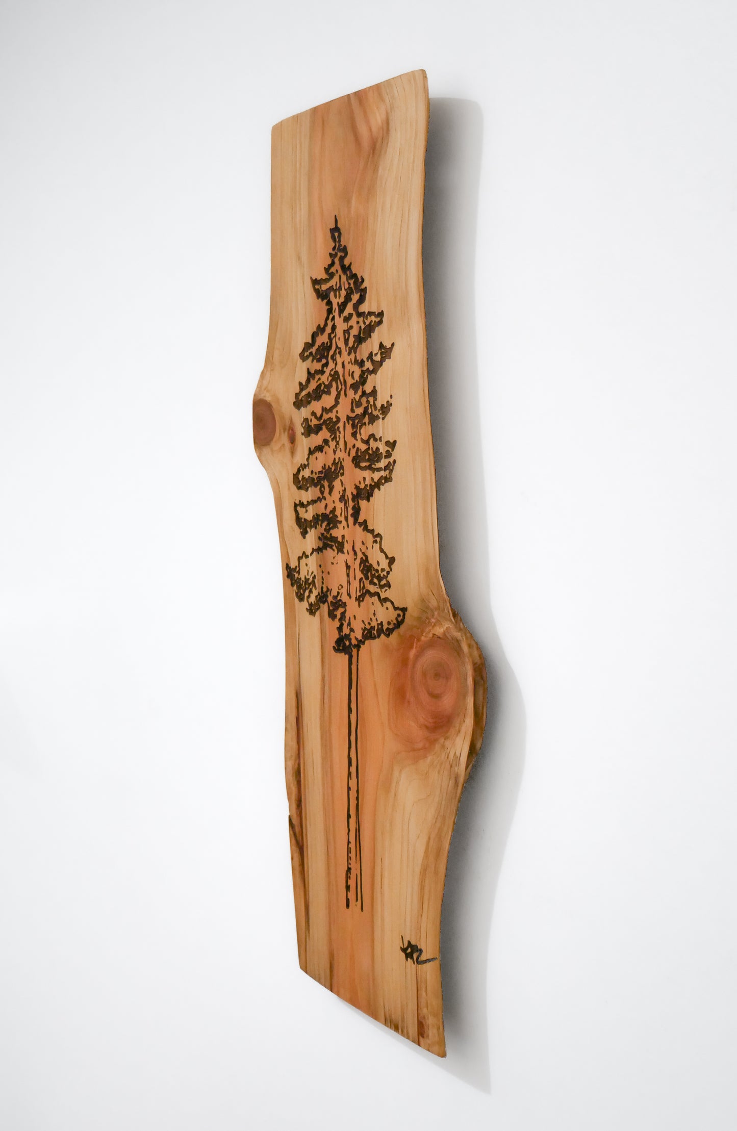 Ponderosa Pine, Cedar Engraving (Local Artist)