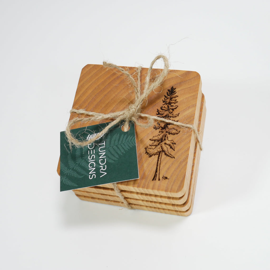 Cedar Coasters (4pk)