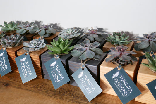 Tundra Designs Gift Card